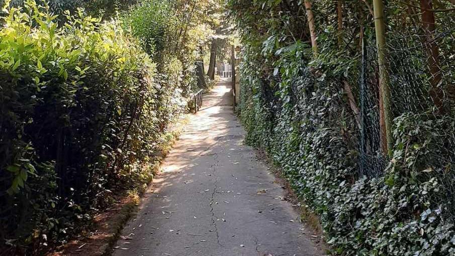 Chiede di potare le piante e le Terme intervengono
