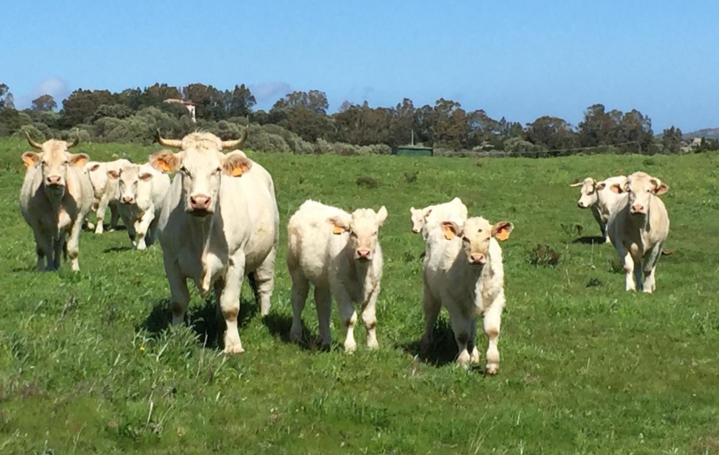 Due forum per il Distretto rurale 