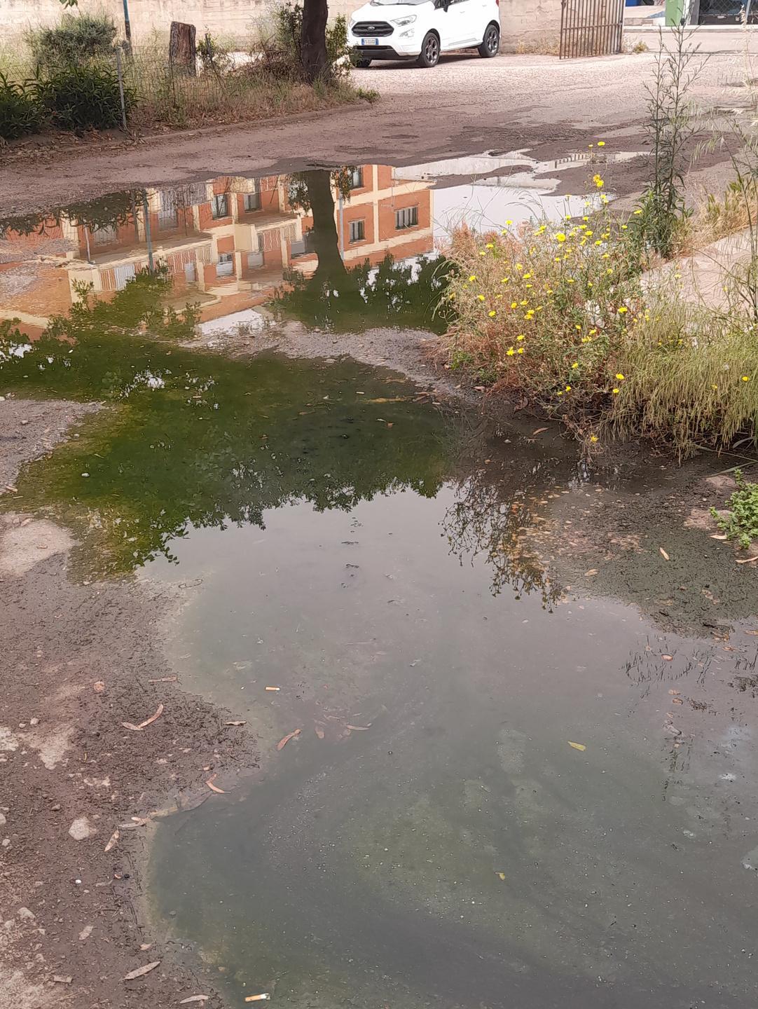«Liquami vicino alle abitazioni ma nessuno vuole intervenire» 