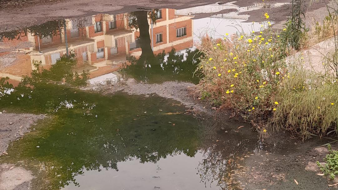 «Liquami vicino alle abitazioni ma nessuno vuole intervenire»