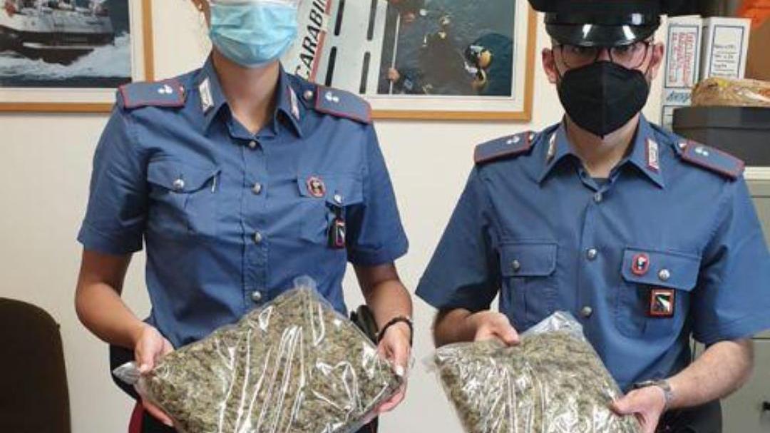 I tre chili e mezzo di droga scoperti dai carabinieri di Castellarano in un pacco con del caffè