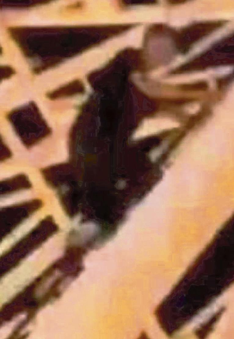Il ragazzo salito sulla ruota