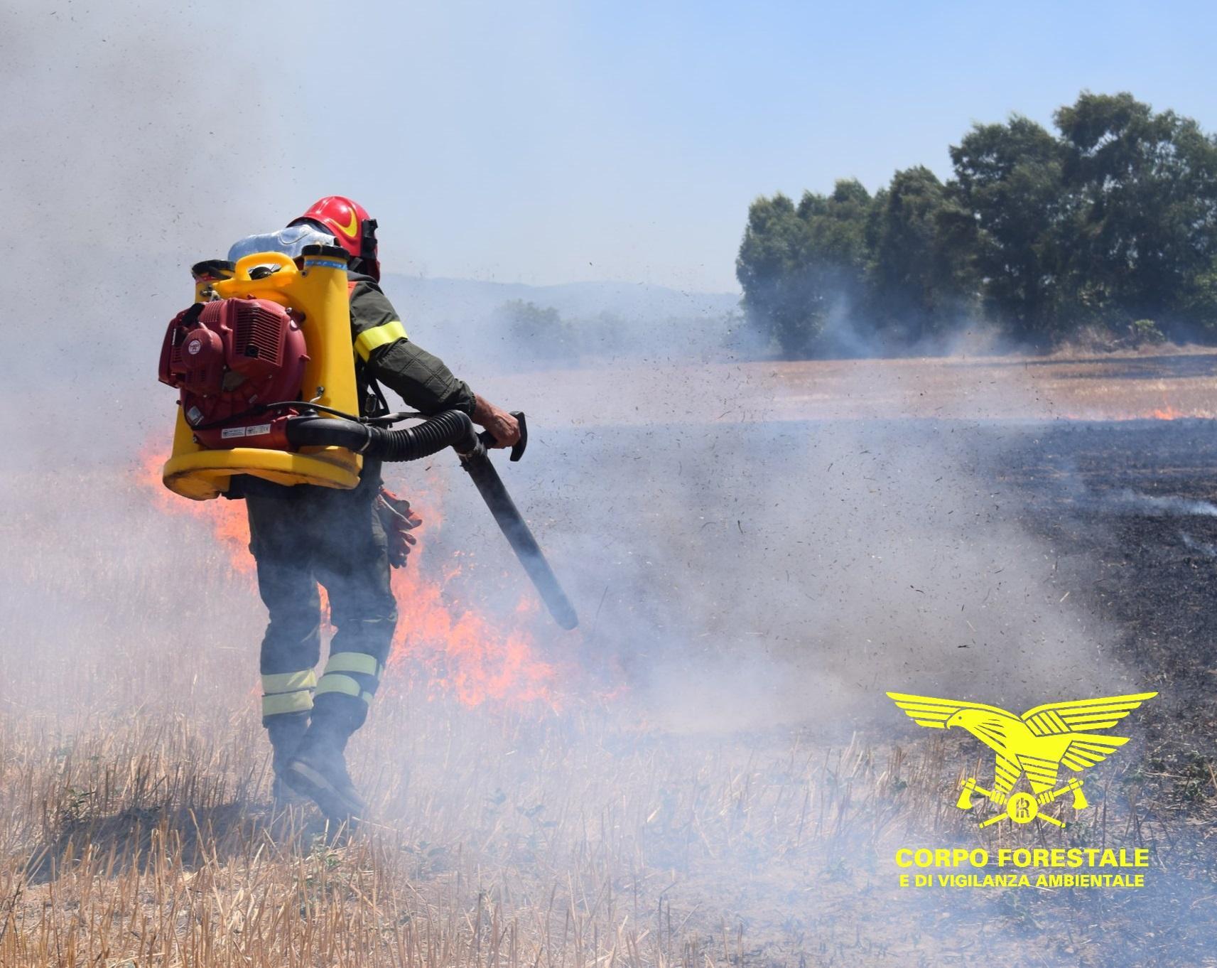 Incendi, fiamme a Bauladu vicino alla strada: chiusa la 131