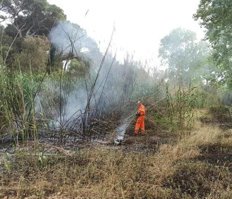 Bufalina, incendio lungo il fosso 