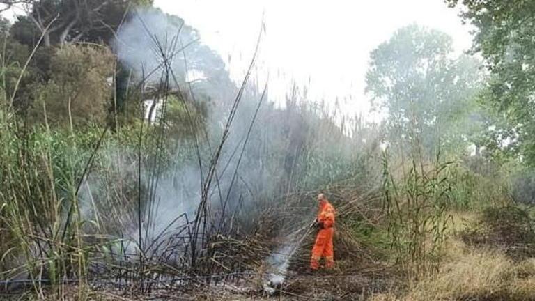 Bufalina, incendio lungo il fosso