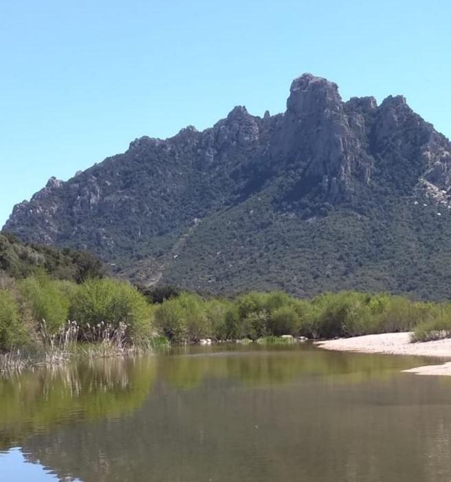 Esperta di ambiente ed economia Mossa è la direttrice di Tepilora