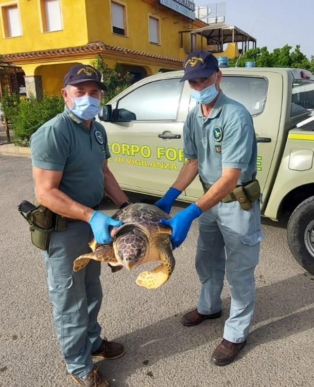 La Caletta tre pescatori salvano una tartaruga 