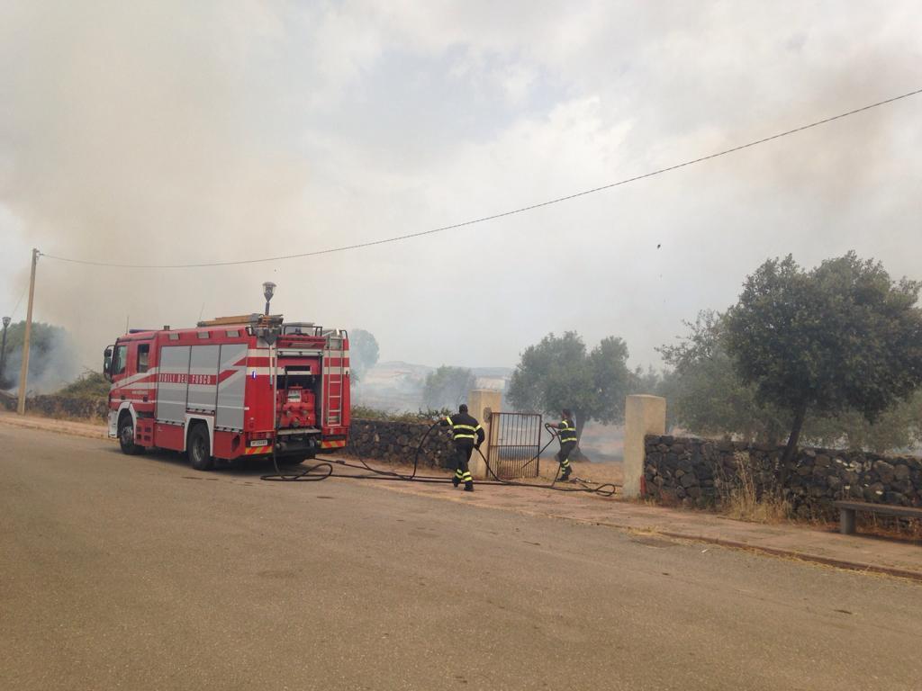 Il fuoco acceso per pulire un terreno si propaga a un uliveto: vasto incendio a Borore 