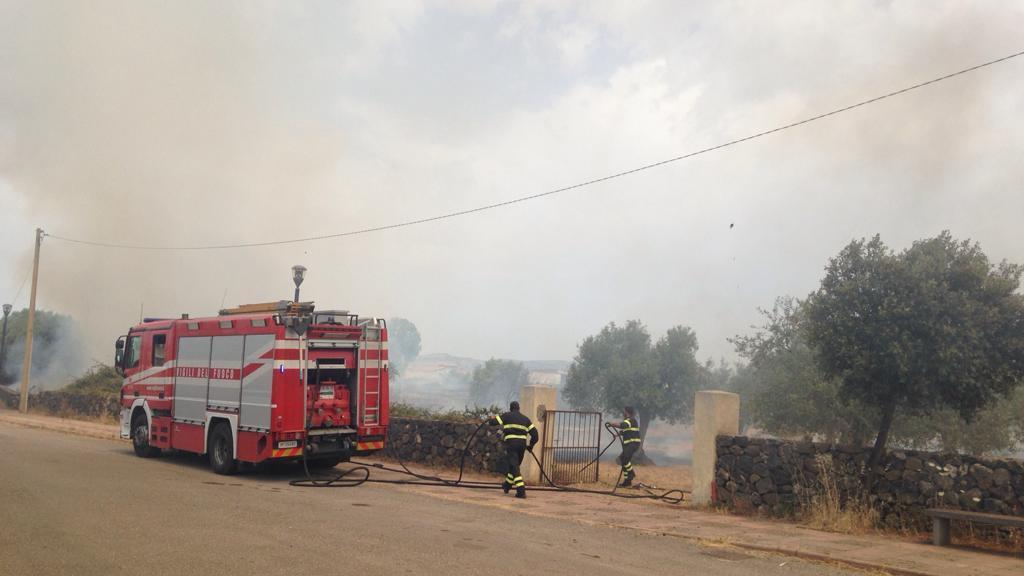 Il fuoco acceso per pulire un terreno si propaga a un uliveto: vasto incendio a Borore 