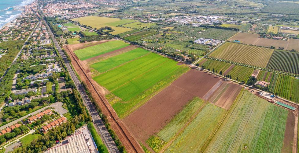 Una veduta aerea dei campi coltivati nell’azienda agricola Guardamare dove si sta realizzando un orto di tre ettari