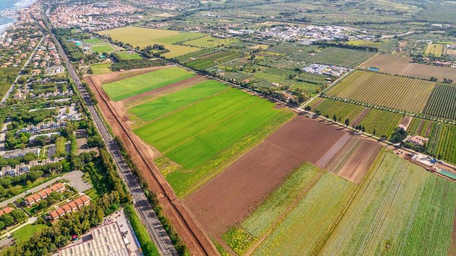 Una veduta aerea dei campi coltivati nell’azienda agricola Guardamare dove si sta realizzando un orto di tre ettari