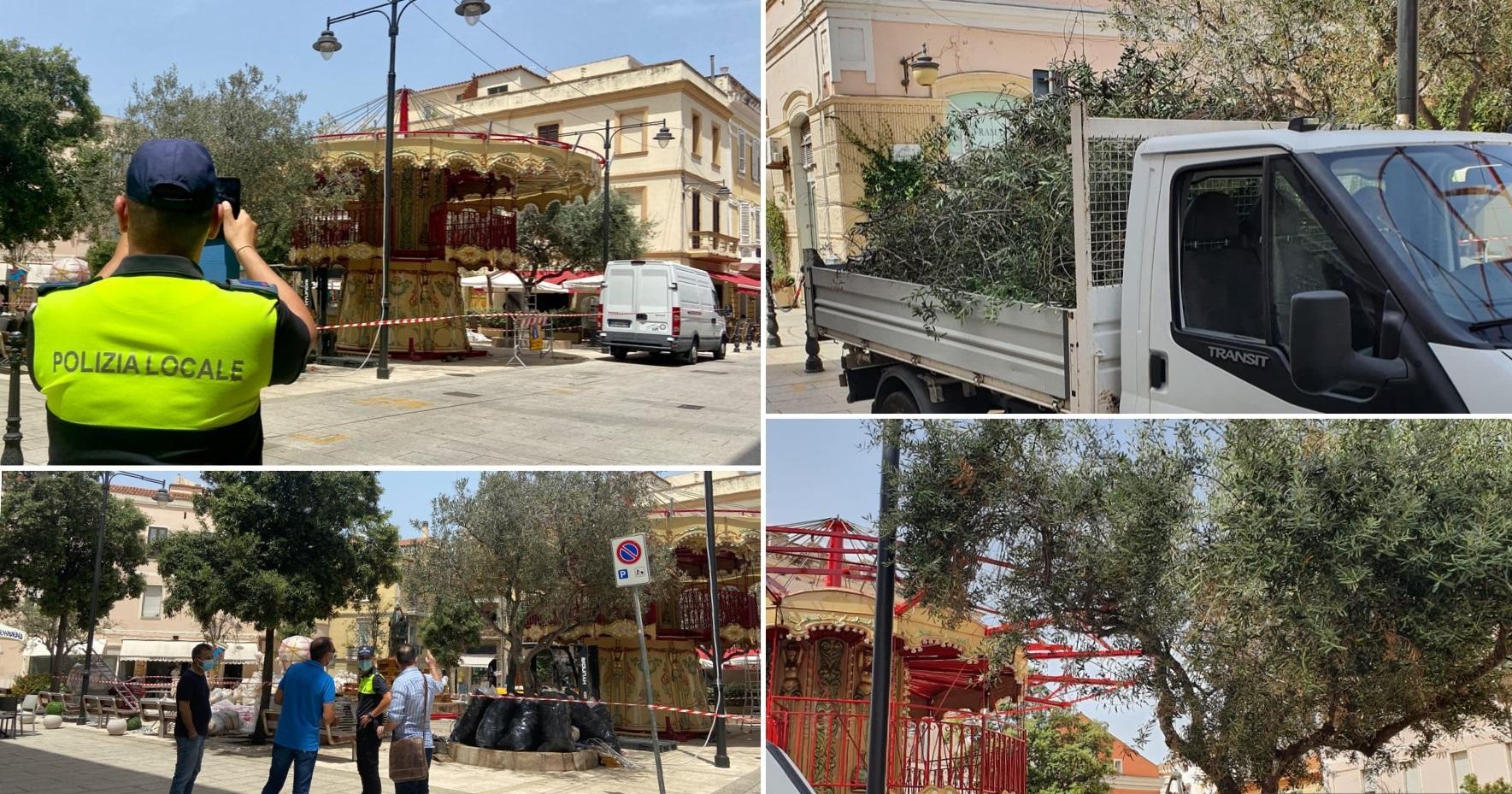 Olbia, taglio degli alberi in piazza per far spazio alla giostra 