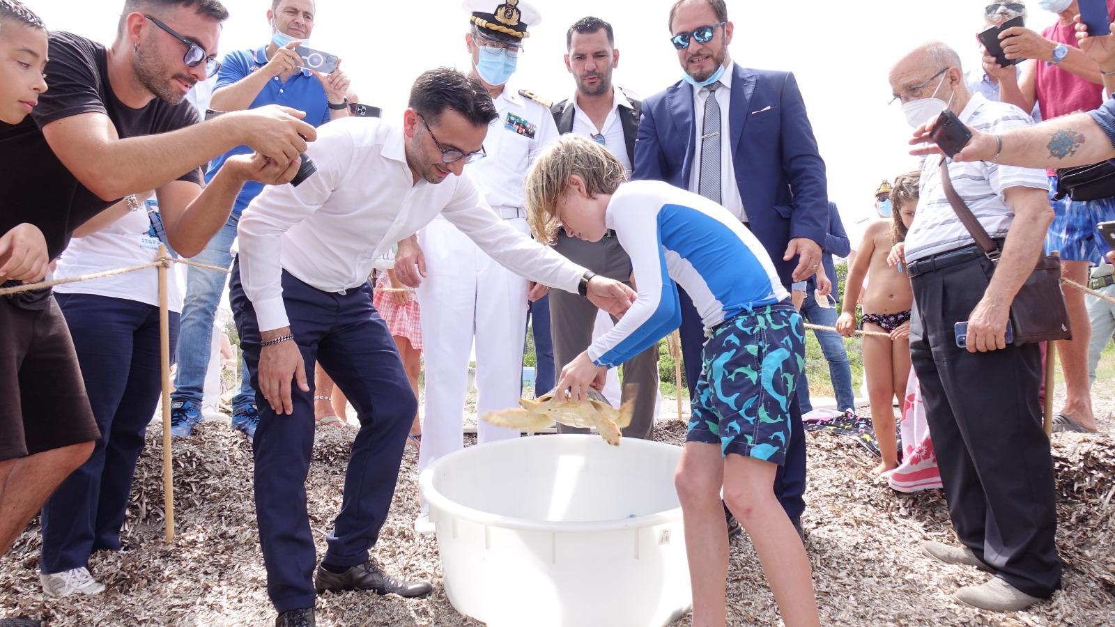 La liberazione della tartaruga Caretta Caretta