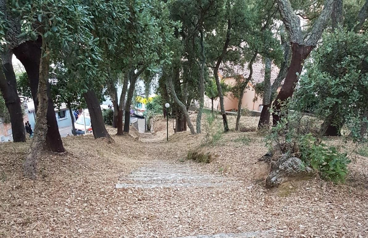 La discesa imboccata dal ragazzino in bici