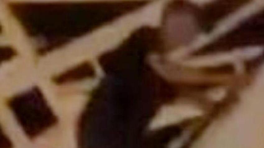 Polemiche a non finire in città dopo la bravata del ragazzino