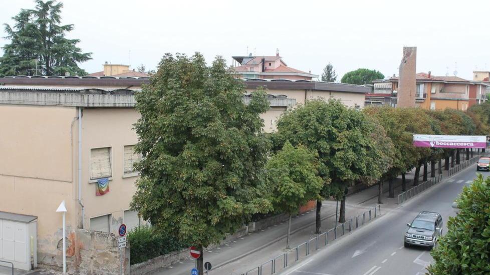 Oltre cento firme dai commercianti contro il nuovo piano del traffico
