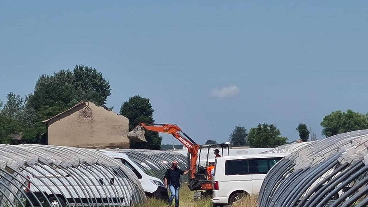 Ricerche di Saman, gli scavi sotto la serra non danno risultati