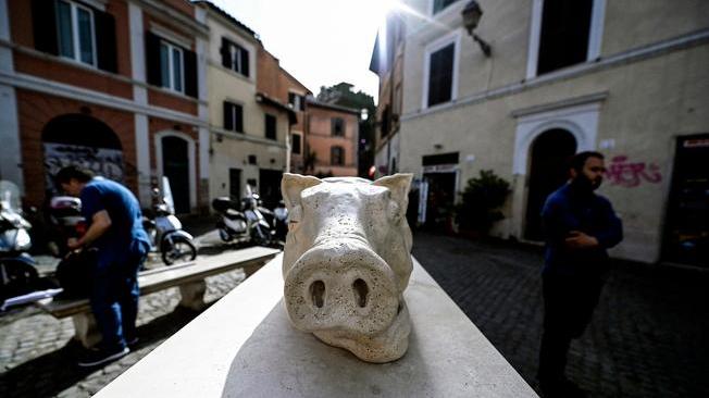 Vernice rossa sulla 'porchetta',a Roma protesta animalisti
