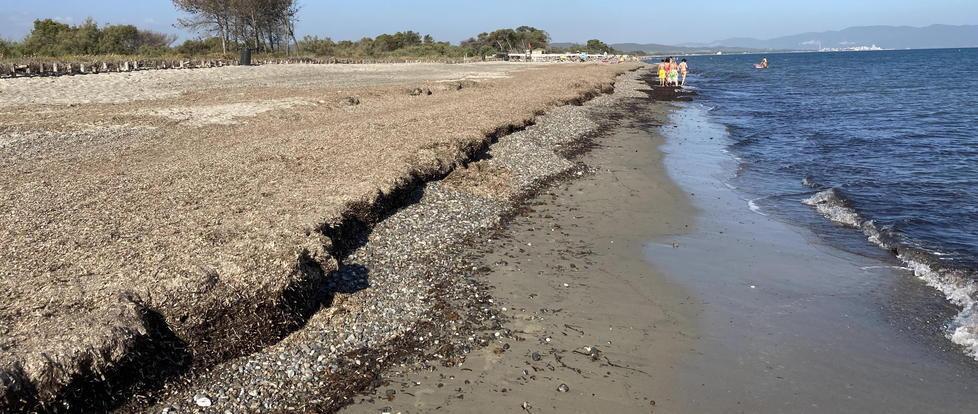 Costa Est, invasione di posidonia e così la spiaggia libera viene evitata dai bagnanti 