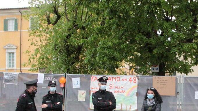 Comitato alberi in guerra: arriva un nuovo esposto
