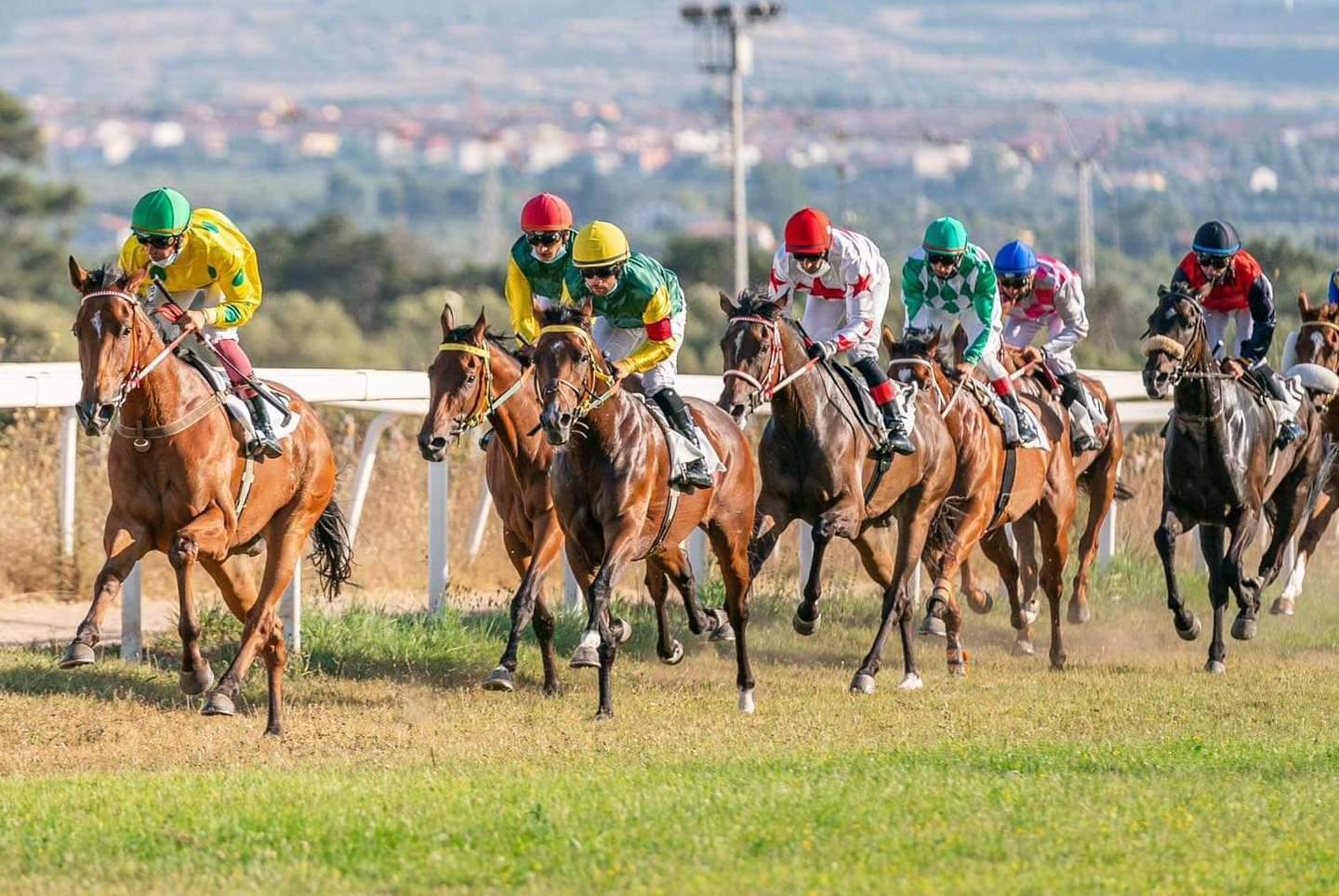 Scatta la riunione estiva Sette giornate spettacolari 