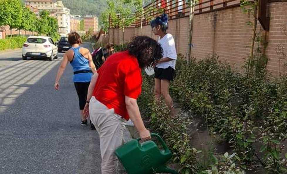 Le piante seccano: ci pensano le donne ad annaffiarle