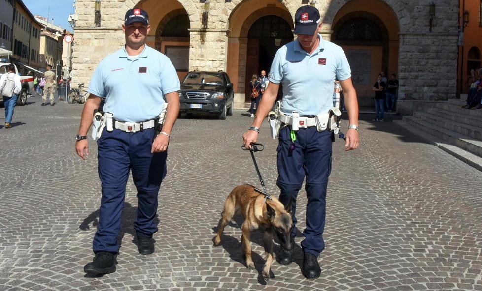 I vigili ingaggiano il cane-007 per dare la caccia ai pusher 