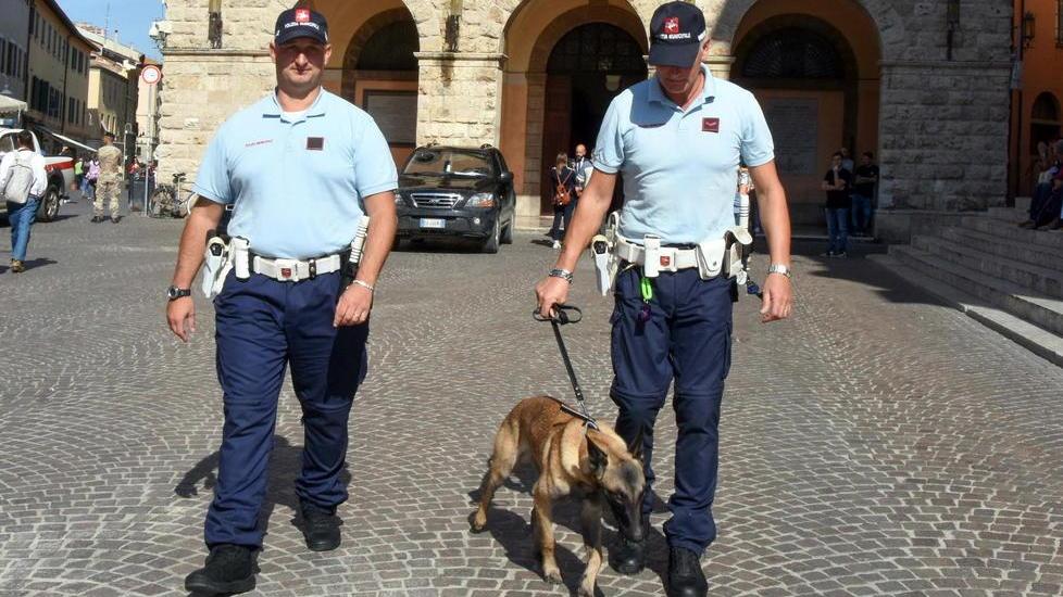 I vigili ingaggiano il cane-007 per dare la caccia ai pusher
