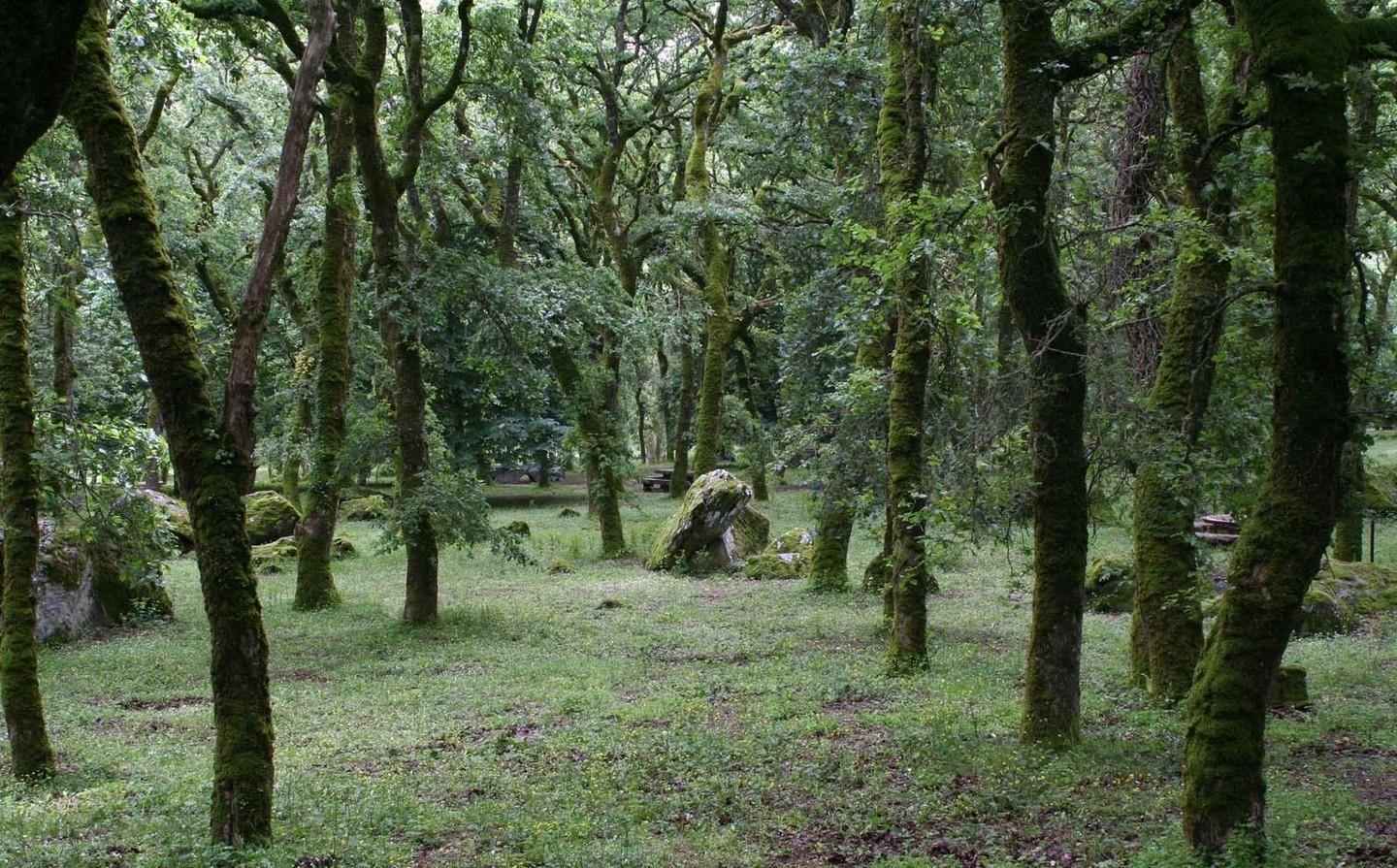Macomer, a rischio tagli il punto antincendio 