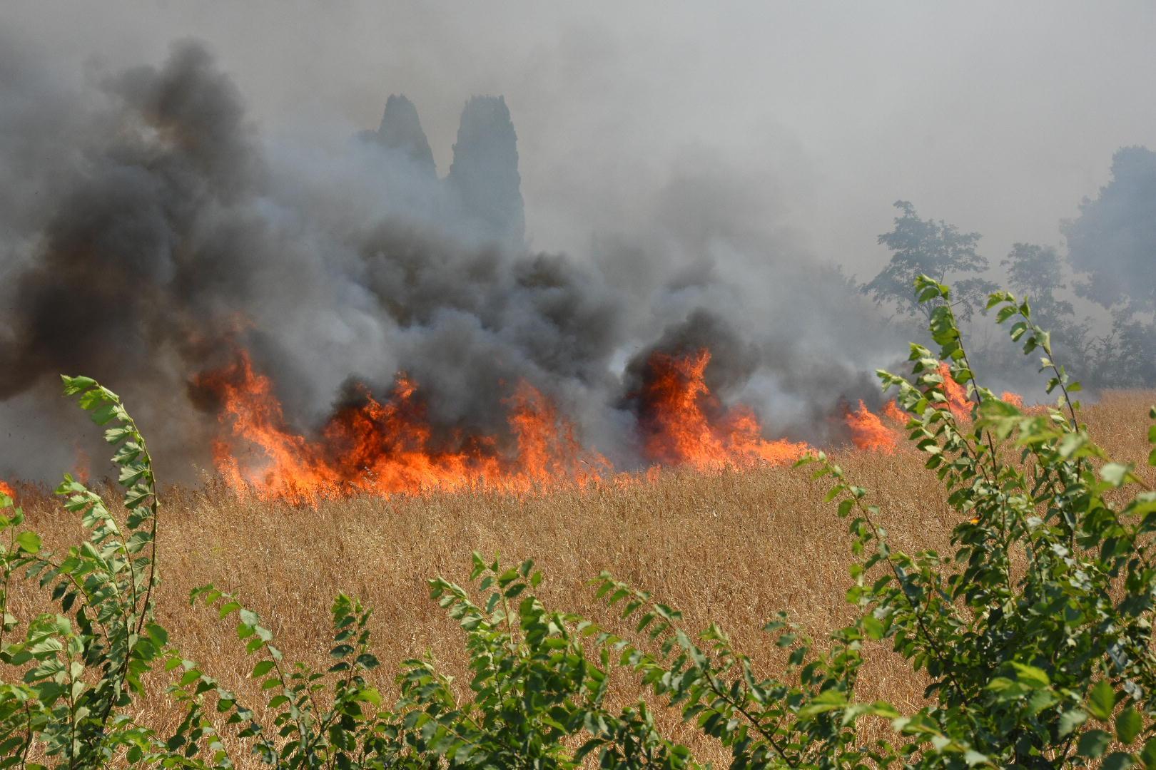 Furioso incendio nelle campagne di Cernaia: distrutti terreni coltivati - Foto 