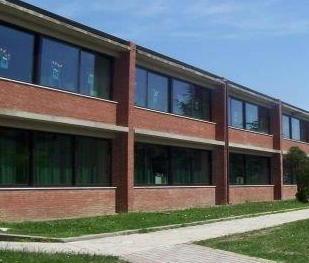 Un campo da street basket alle scuole Breschi 