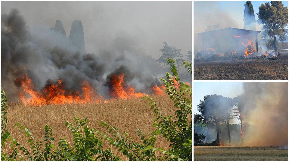 L’impressionante fronte del fuoco, uno dei depositi dove tre giorni fa erano state sistemate le rotoballe di fieno all’interno del Cemivet, il Centro militare veterinario che si affaccia sulla strada del Padule e uno dei pini andati a fuoco nel rogo scoppiato ieri nel primo pomeriggio e partito probabilmente prima dell’argine del Diversivo e che si è propagato poi verso la zona militare