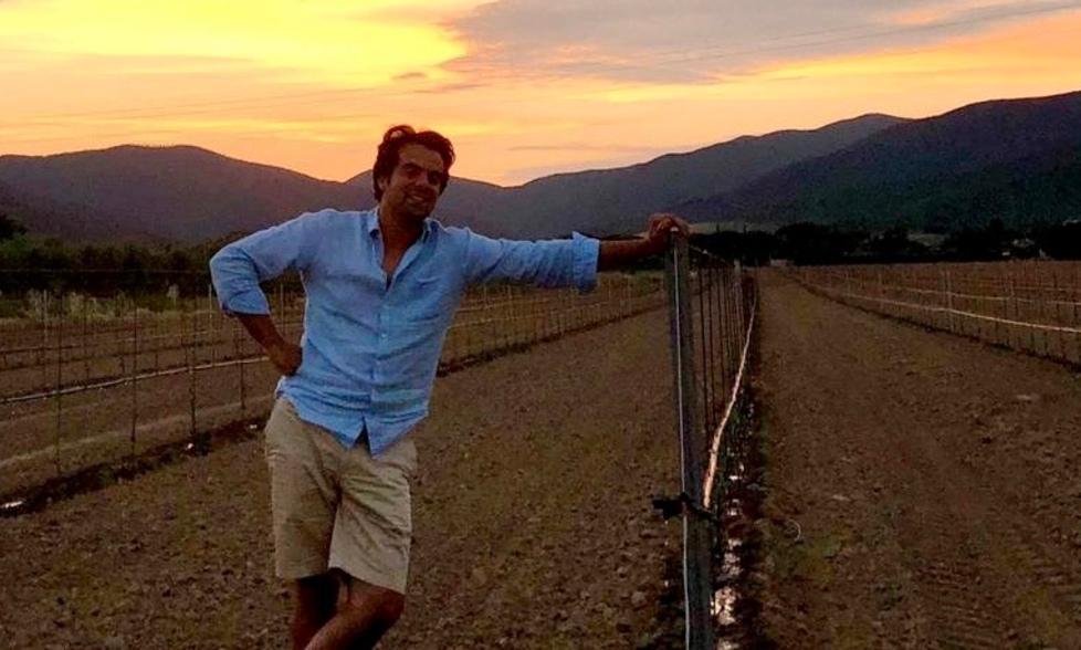 Lorenzo Pavone tra gli ulivi messi a dimora nella sua proprietà a Castiglione della Pescaia