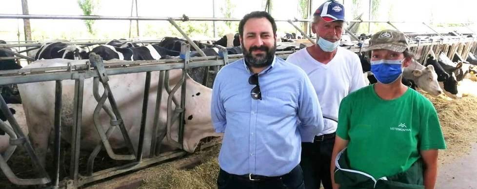L’allarme degli allevatori: i costi delle materie prime superano i ricavi col latte 