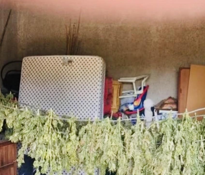 Armi semiautomatiche e videosorveglianza per non essere scoperti