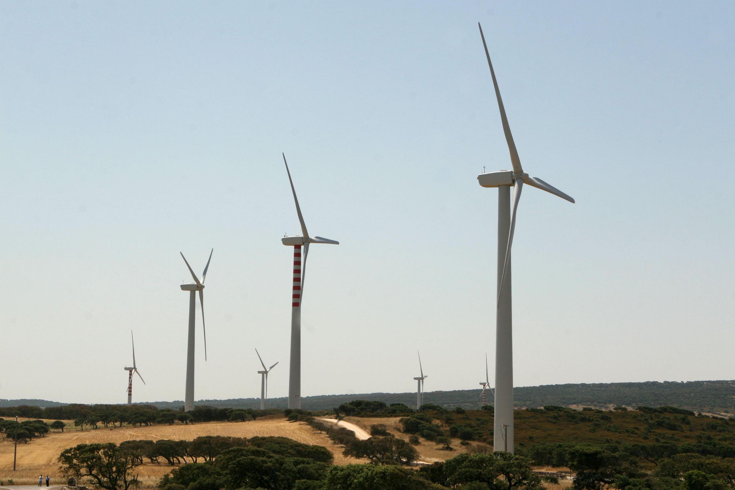 Una speranza dalla politica ecologista