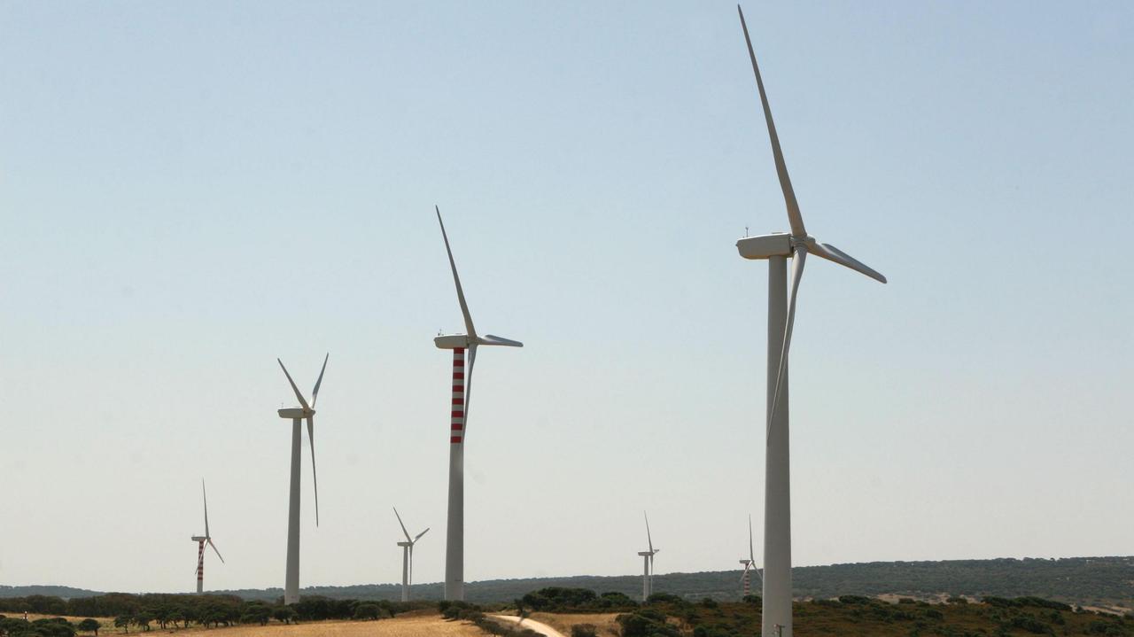Una speranza dalla politica ecologista