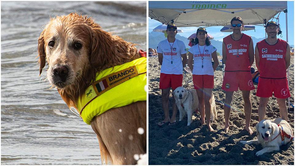 Il fucecchiese Brando aveva già salvato altre 2 persone, da sinistra Mario Peria, Sabrina Macera, Sandro Petrillo e Gabriele Casini con Thea e Beatrice