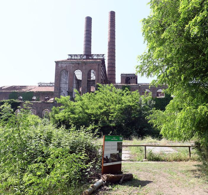 Nella Garzaia alla scoperta di natura e sana alimentazione 