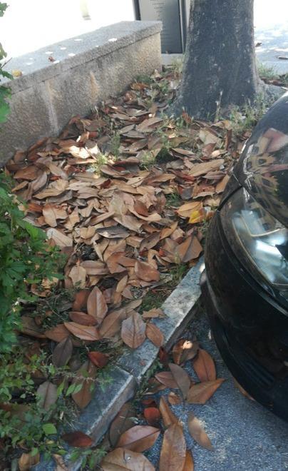Sporcizia, puzza e tanti negozi chiusi il centro storico è sempre più desolato 