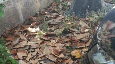 Sporcizia, puzza e tanti negozi chiusi il centro storico è sempre più desolato