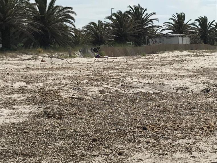 «Spiagge indecorose, basta perdere tempo» 