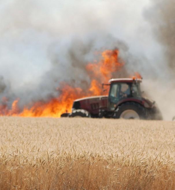 Campi di grano in fiamme Incendi tra Argenta e Copparo 