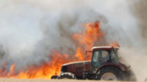 Campi di grano in fiamme Incendi tra Argenta e Copparo