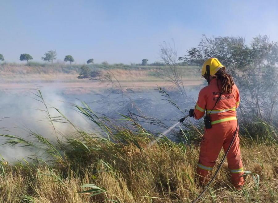 Incendi a ripetizione fra Fi-Pi-Li e Variante Ipotesi roghi dolosi