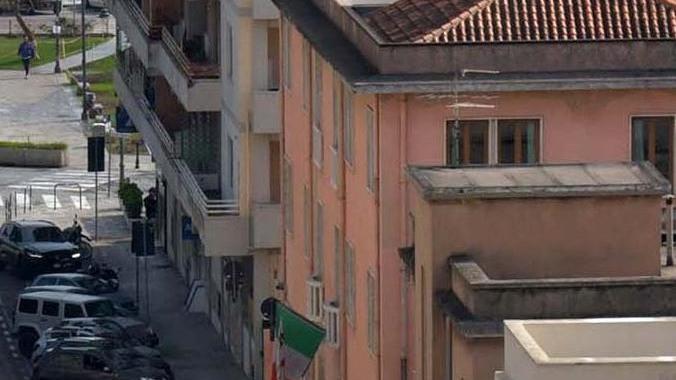 Disinfestazione dalle blatte