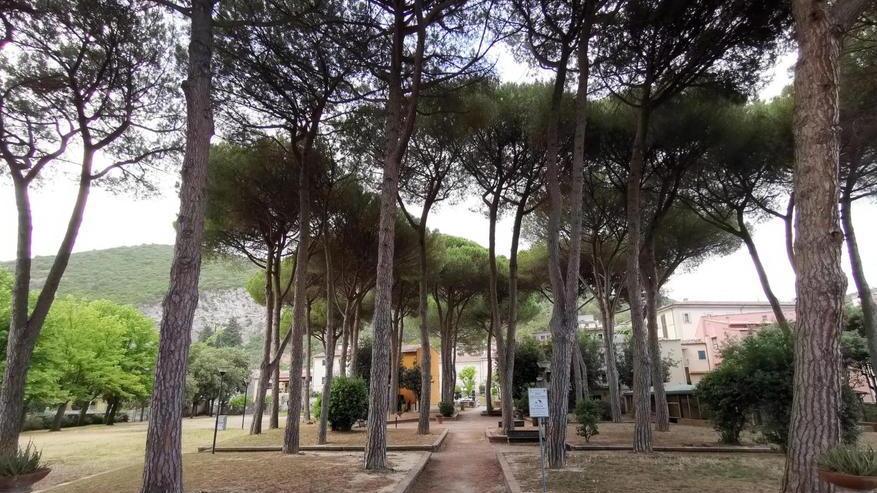 Parco dei Pini, c’è il via libera all’acquisto dalla Regione