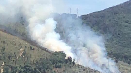 Incendio sulle colline di Calci, in fiamme un'area piena di olivi
