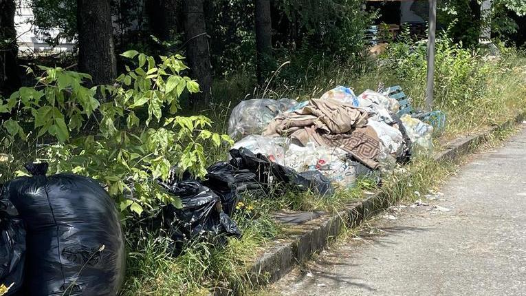 Spazzatura e topi a due passi dal salotto buono