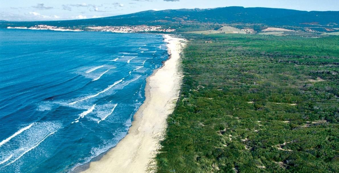 Riesplode la guerra legale per la pineta di Is Arenas 